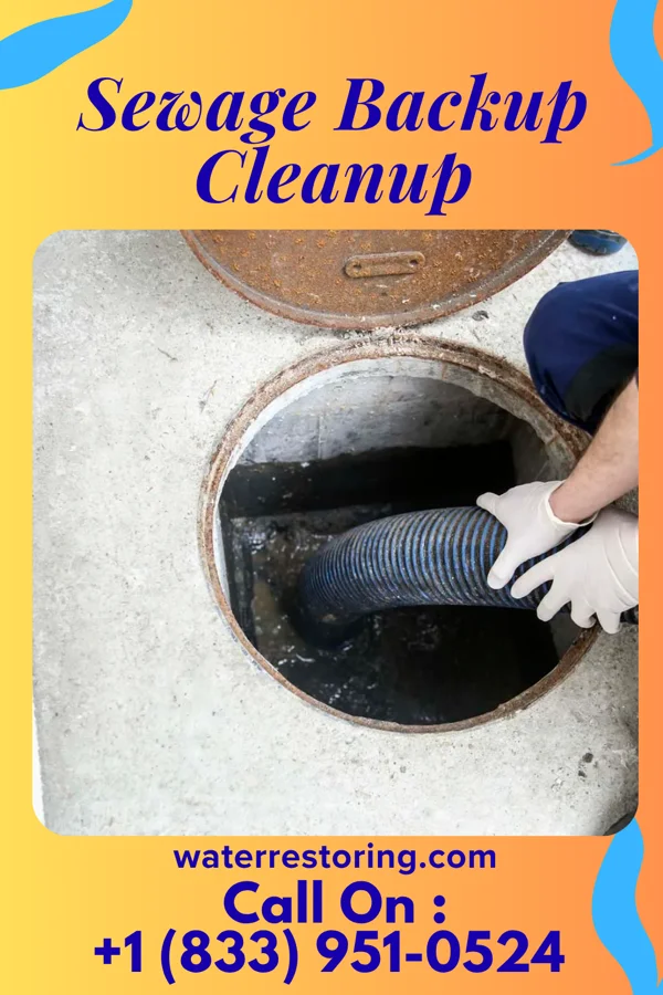 Sewage Backup Cleanup in Creve Coeur, IL